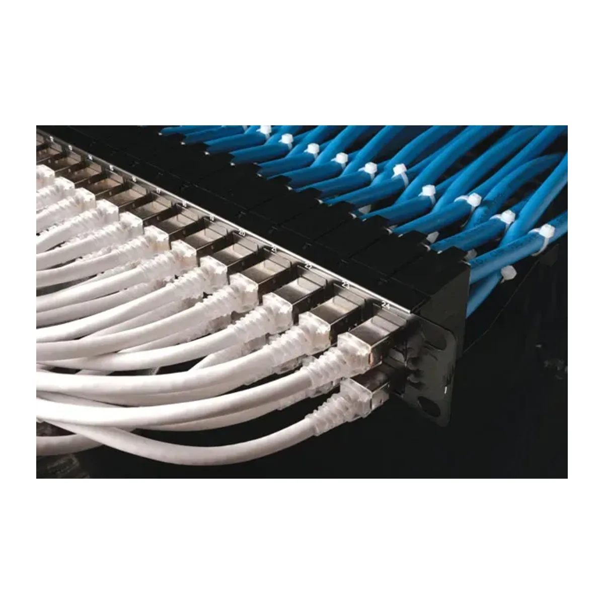 Cat 5 Ürünler